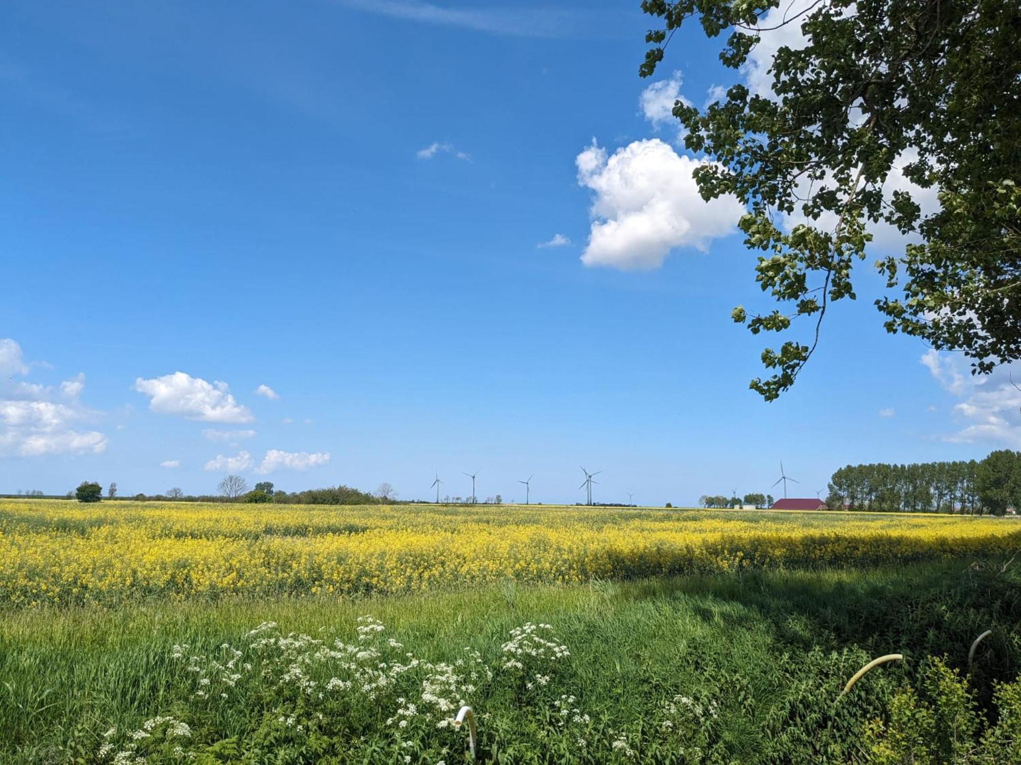 Huus Meta Villa Krummhoern Luaran gambar