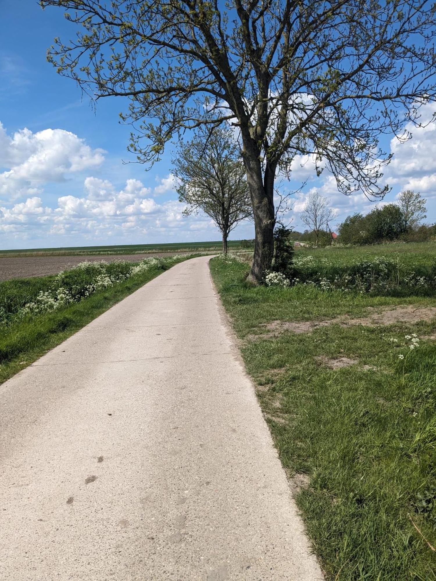 Huus Meta Villa Krummhoern Luaran gambar
