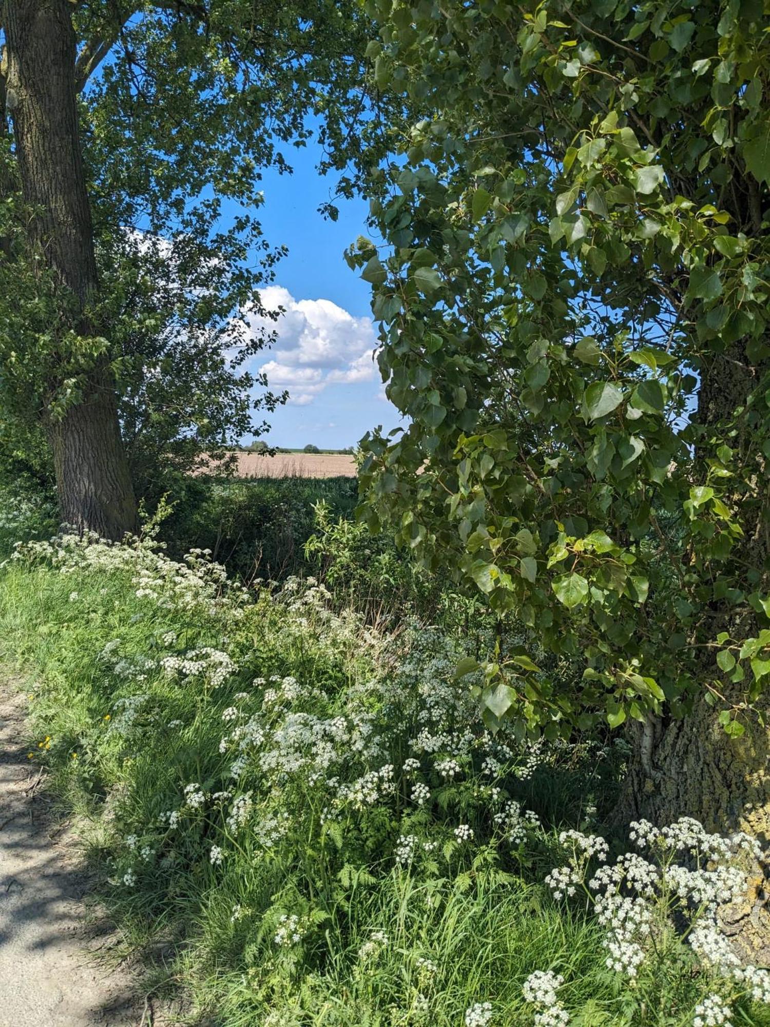 Huus Meta Villa Krummhoern Luaran gambar